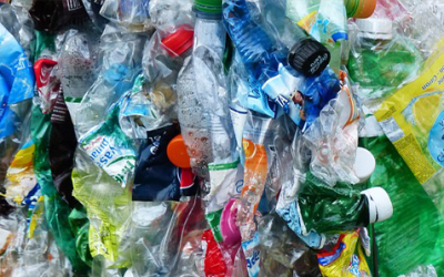 Single Use Plastics